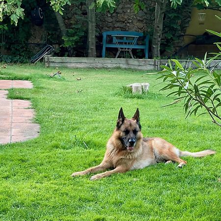 Santa Caterina - Dog Friendly With Garden Villa Sobrestany Екстериор снимка