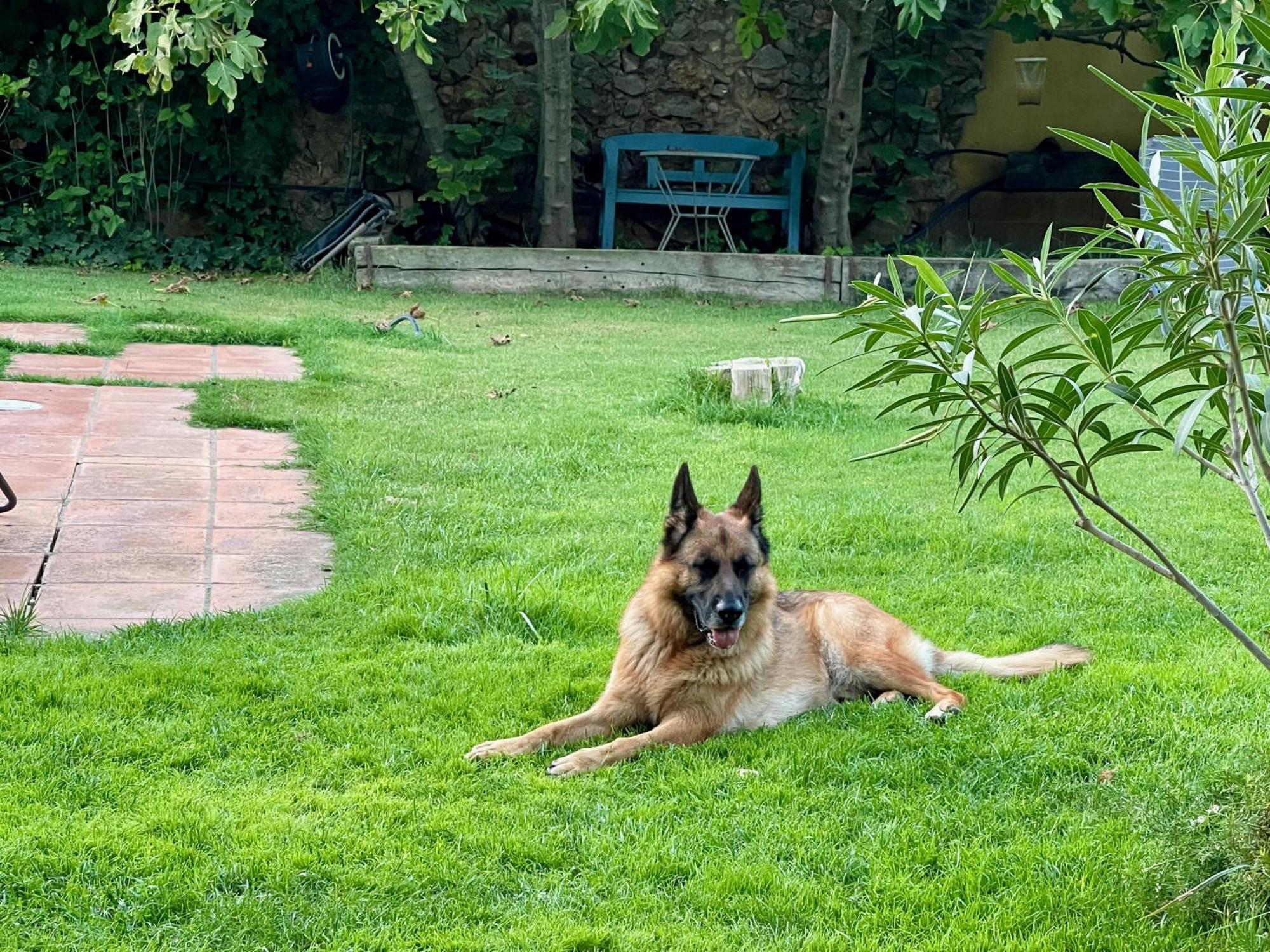 Santa Caterina - Dog Friendly With Garden Villa Sobrestany Екстериор снимка